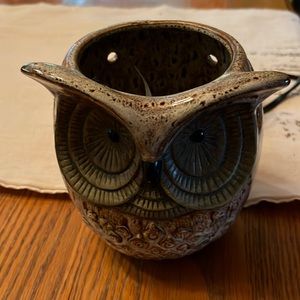 Adorable owl light